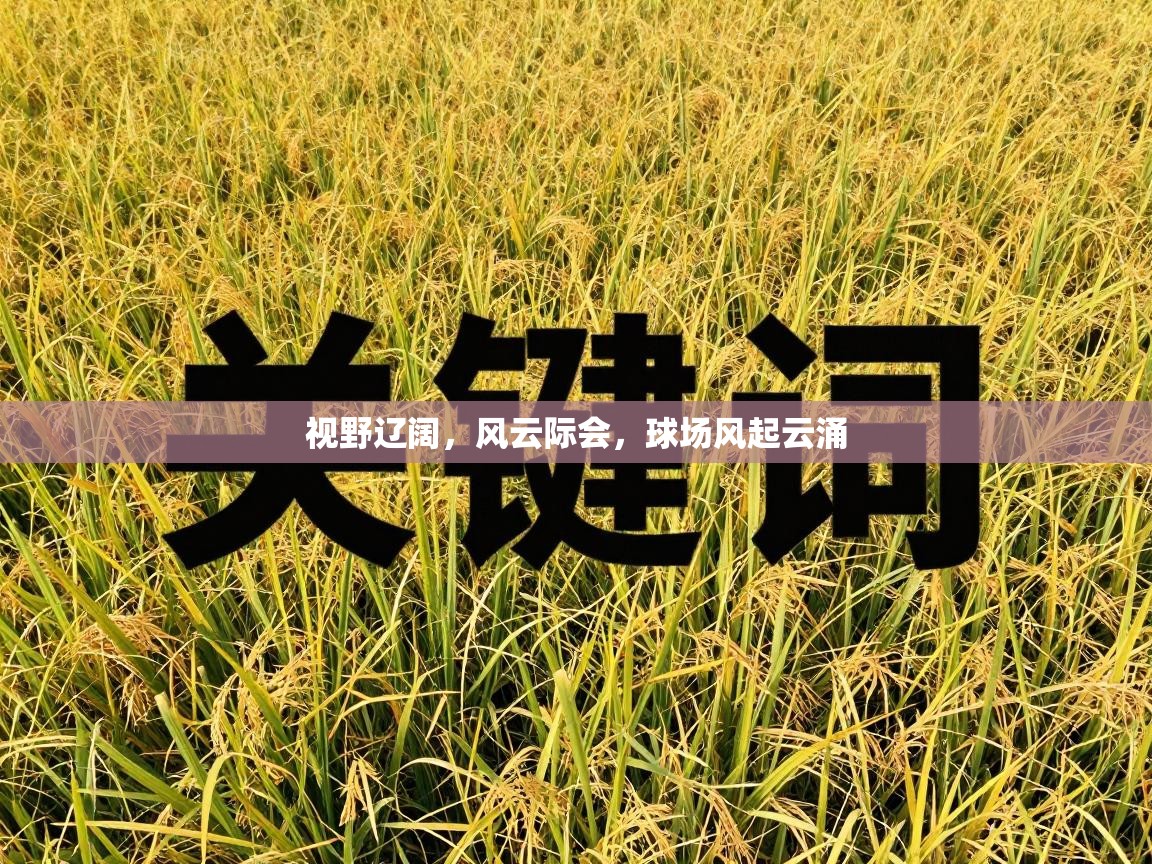 视野辽阔，风云际会，球场风起云涌  第1张