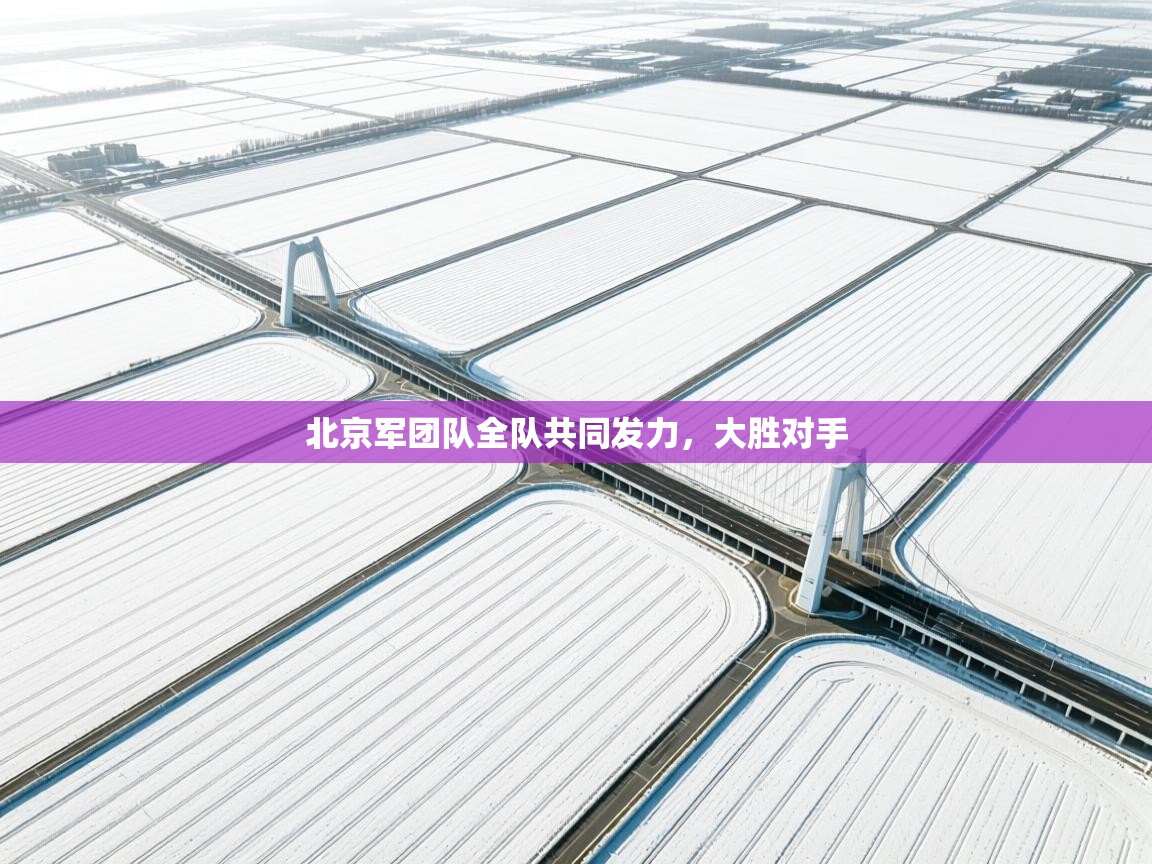 北京军团队全队共同发力，大胜对手  第1张