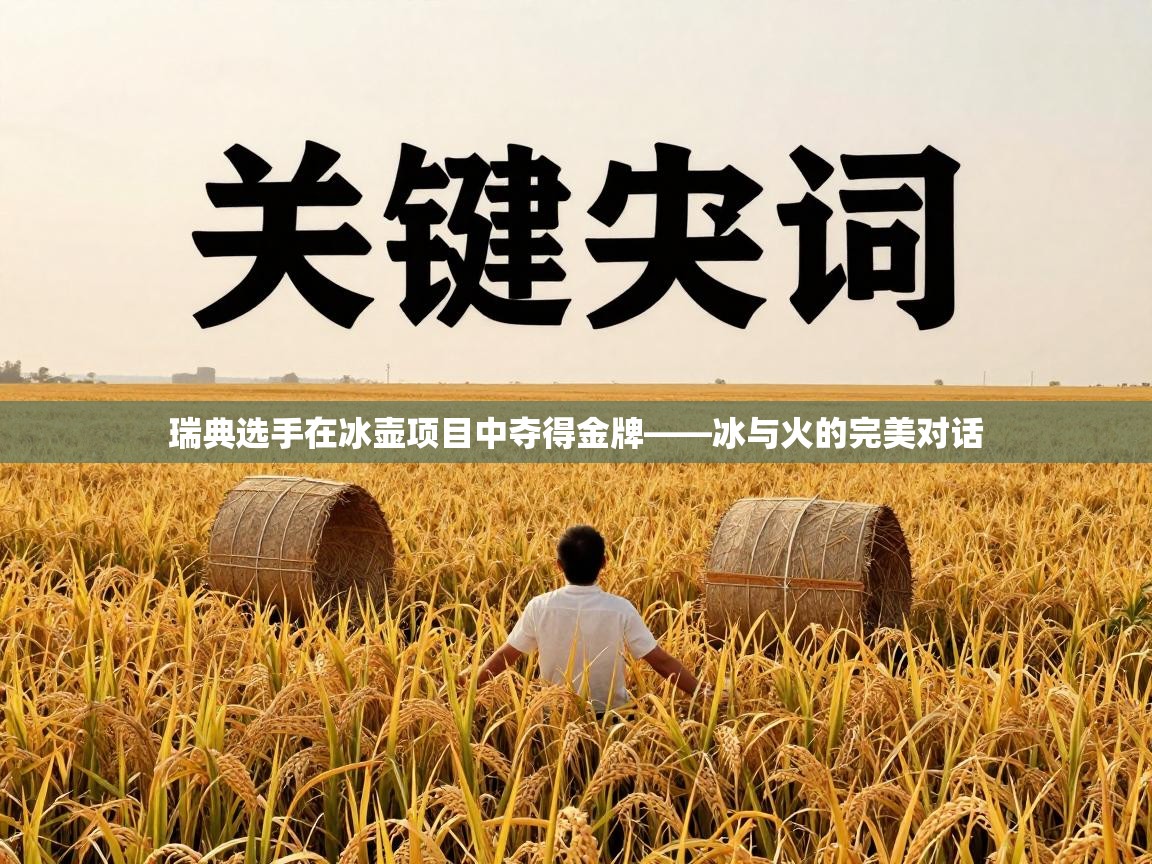 瑞典选手在冰壶项目中夺得金牌——冰与火的完美对话  第1张