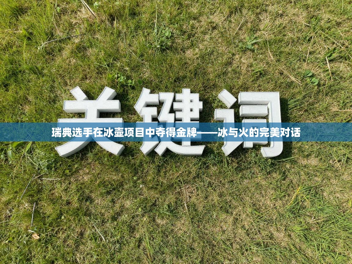 瑞典选手在冰壶项目中夺得金牌——冰与火的完美对话  第2张