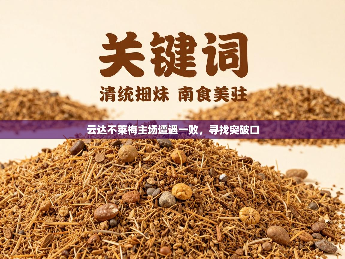 云达不莱梅主场遭遇一败，寻找突破口  第2张